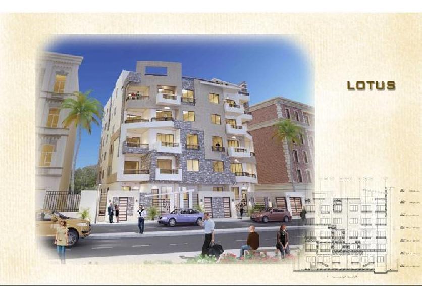 For Sale Apartment 195m in North Lotus............